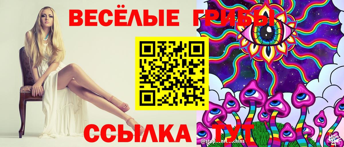 Галлюциногенные грибы Cubensis Тамбов