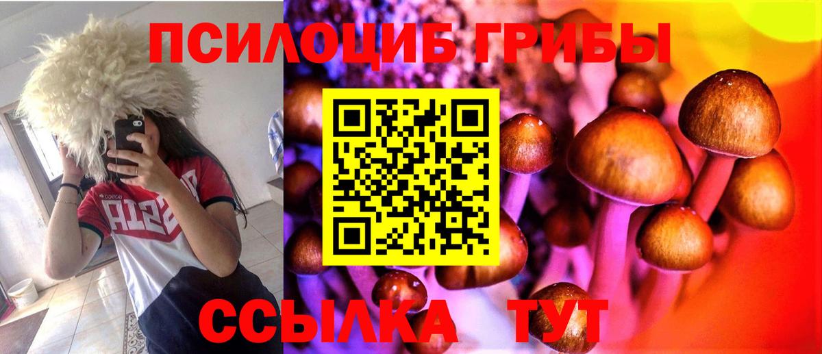 Тамбов  Галлюциногенные грибы ЛСД  Вход с VPN 